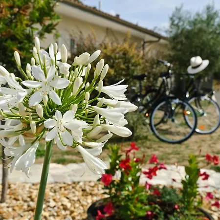 Logis L'oliveraie Hotel Cognac