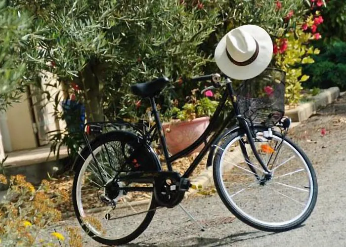 Logis L'oliveraie Hotel Cognac