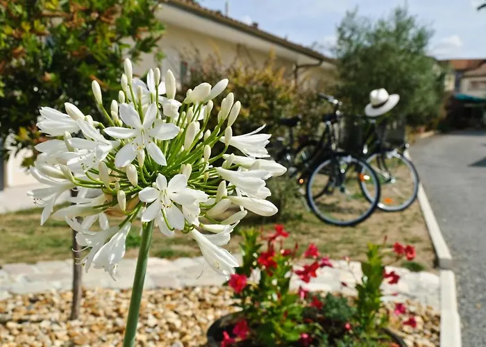 Logis L'oliveraie Hotel Cognac